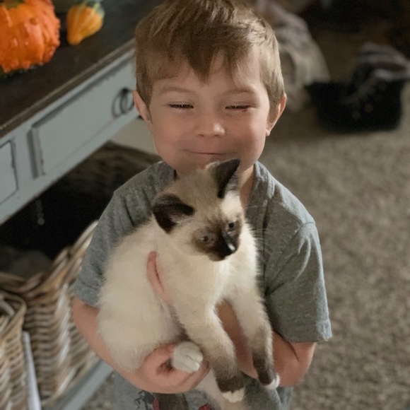 Meet your Posher, Maggie - Picture 9 of 13